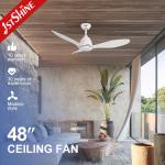 Energy Saving Remote Control Ceiling Fan with 3 Plastic Blades in White Decorative Design for sale