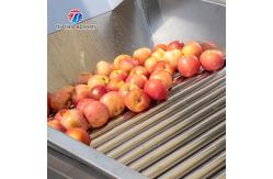 China Connected Pipeline Jujube Fruit Sorting Machine Multifunctional supplier
