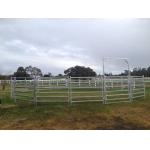 13  Portable Horse Stall Panels round Yard, Cattle Fences, Corral 9m diameter for sale