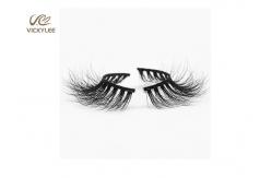 China Fan Shaped Curly 0.07mm Eyelash 3D Extensions supplier