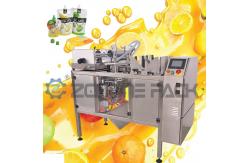 China Automatic Stand Up Pouch Packaging Machine Solid Liquid Powder Packaging Machine supplier