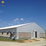 Customizable Farm Steel Structure Poultry House Galvanized For Automated Ventilation