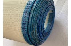 China Large Air Permeability Paper Mills Polyester Mesh Conveyor Belt supplier