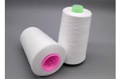 China 50s/2 50/2 50 2 Paper Cone Yizheng Staper Fiber Bangladesh Yarn Raw White 1.67kg/cone supplier