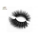 Thickness 0.07mm 6D Volume Lashes Extensions Plastic Cotton Stalk for sale