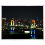 LB190E02-SL01 19.0 Inch Industrial Panel IPS 60HZ LCD Monitor for LG Display for sale