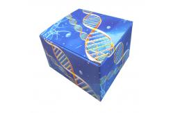 China Custom Cheap Single Wall Corrugated Reverse Tuck End Boxes Printing supplier