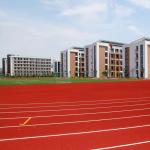 Anti Yellowing Synthetic Outdoor Flooring Runway Durable For School