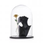 Wood Base D20*H40cm Borosilicate Glass Dome Display Cloche for sale