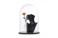 China Wood Base D20*H40cm Borosilicate Glass Dome Display Cloche supplier