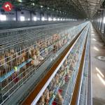 2024 Galvanized Poultry Cage For Layer Chickens Equipment Automated Chicken Layer Farming Cage for sale