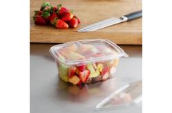 China China Supplier Tamper-Resistant Clear Hinged Container with Flat Lid supplier