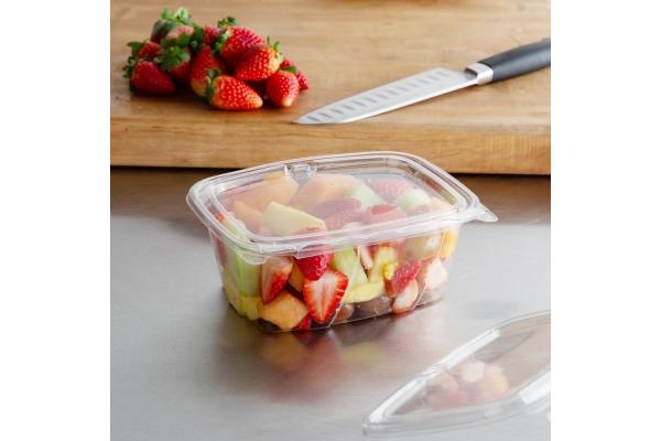 China Supplier Tamper-Resistant Clear Hinged Container with Flat Lid