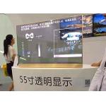55 Inch Transparent OLED Screen , Multifunctional Foldable OLED Display for sale