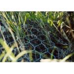 PE Coated Plastic Gabion Mesh Retaining Earth Or Water Structure for sale
