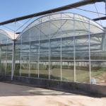 Hot-dipped Galvanized Frame Multi-span Agricultural Film Greenhouse for sale
