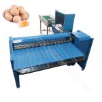 Egg Classification Machine Egg Grader Machine Egg Sorting Weight Sizing  4000/5400pcs/H for sale