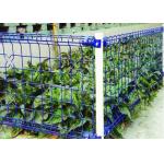 75*150mm Double Loop BRC Welded Wire Garden Fence for sale
