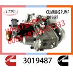 Genuine Diesel Fuel Injection Pump 2048809 3019487 3059657 For Cummins NT855