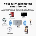 Australian Standard Smart Socket Above IOS8.0 Android4.3 Smart Outlet With Usb