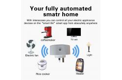 China Australian Standard Smart Socket Above IOS8.0 Android4.3 Smart Outlet With Usb supplier