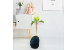 China 60cm White Artificial Potted Floor Plants Silk King Protea Cynaroides Flower supplier