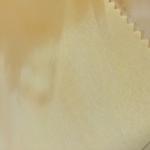 150CM Width Polyester Dyed Fabric 210T Taffeta Plain Style Weft Weaving