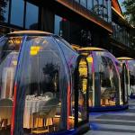 Outdoor Glamping Geodesic Dome House Polycarbonate Transparent Luxury Dome Homes for sale