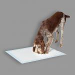 Household Lightweight Eco Friendly Hygiene Wee Wee Pads for sale