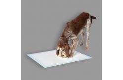 China Household Lightweight Eco Friendly Hygiene Wee Wee Pads supplier