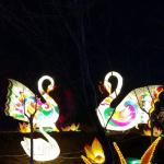 50cm-30m Chinese Festival Lantern , Show Silk Outdoor Lanterns for sale