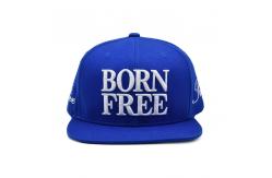 China BSCI Factory Custom Hat Snapback 3d Embroidery Snap Back Caps supplier