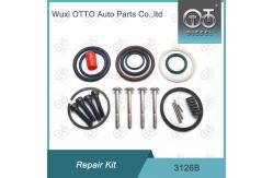 China CE passed 3126B Injector Rebuild Kit Bag Packing supplier