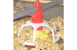 China Al-Zn Coating 1.5mm Automatic Duck Feeder For Farm House Equipment supplier
