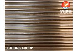 China ASTM B111 C44300 Seamless Admiralty Brass Tube For Heat Exchanger supplier
