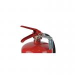 Steel Foam Fire Extinguisher 6L 9L10L12L With Safety Valve for sale