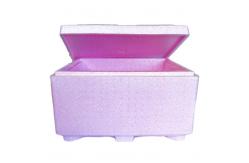 China Lightweight Non-Toxic Anti Mold Waterproof Logistic EPP Insulation Box supplier