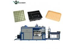 China Automatic Plastic Vacuum Forming Machines Coffee Cup Lid Making Machine supplier