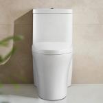 China Floor Mounted Elongated Bathroom Toilets With Clean Lines And Low Profile manufacturer