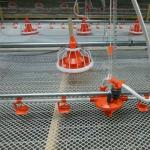 D25mm Pipe Poultry Farm Water System Chicken Self Watering System