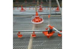 China D25mm Pipe Poultry Farm Water System Chicken Self Watering System supplier