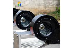 China Customization Ozone Sterilization Fruit And Vegetable Processing Line Dry Detoxification supplier