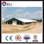 Customized Automatic Broiler Floor Feeding Line System With Steel Structure Chicken House for sale
