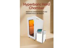 China Circular Arc Hyperbaric Hard Chamber Improve Memory Sitting Single Room WEIZI supplier