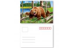 China Vivid Plant Two Sides Printing 3D Lenticular Card Plant Introduction supplier