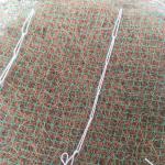 Coconut/Straw fiber Turf Reinforcement Mat/Erosion Control Mattress for Slope Protection and Vegetation Establishment for sale