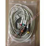 PHiliph PW TC20 Long 10 Lead Patient Cable AHA 989803175921 for sale