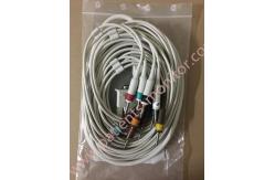 China PHiliph PW TC20 Long 10 Lead Patient Cable AHA 989803175921 supplier