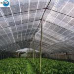 New HDPE Agriculture Greenhouse Garden Black Plastic 70% Sunshade Netting, Vegetable Greenhouse Dark Green Sunshade Net for sale