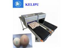 China Egg Jet Coding Machine / Industrial Inkjet Coding Printer For Expiration Date supplier
